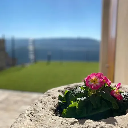 Holiday home Cal Bertran